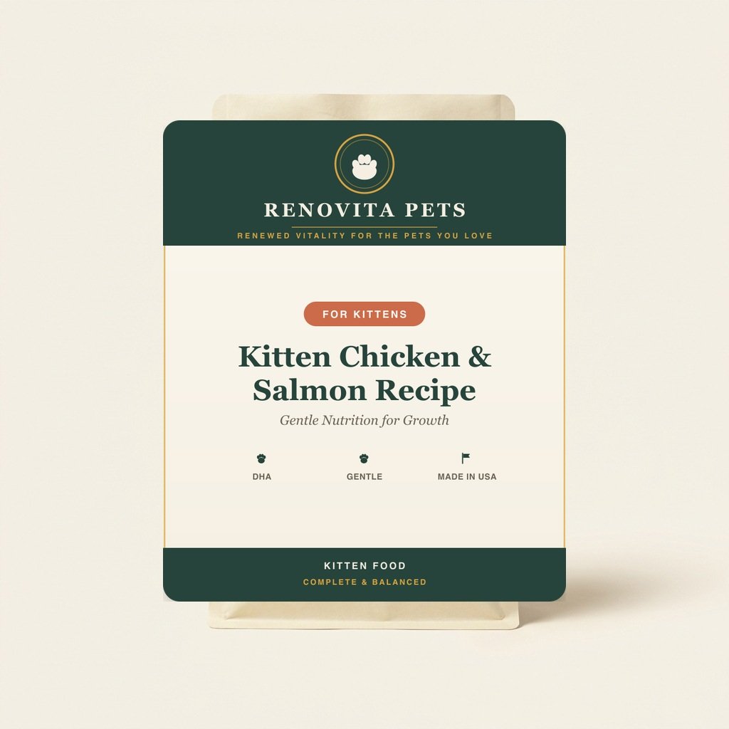 kitten chicken salmon recipe — Renovita Pets